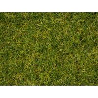 NOCH 07076 G 0 H0 TT N Master-Grasmischung “Sommerwiese” 2,5 bis 6 mm, 100 g von NOCH