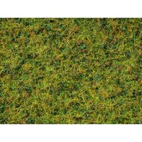 NOCH 07077 G 0 H0 TT N Master-Grasmischung “Kuhweide” 2,5 bis 6 mm, 100 g von NOCH