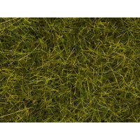 NOCH 07110 0 H0 Wildgras XL Wiese, 12 mm von NOCH