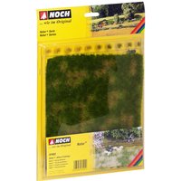 NOCH 07402 G 0 H0 TT N Z Natur+ »Wiese Frühling« NOCH 07402 G 0 H0 TT N Z Natur+ »Wiese Frühling« von NOCH
