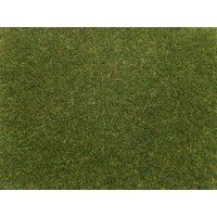NOCH 08364 0 H0 TT N Z Streugras mittelgrün, 4 mm, 20g von NOCH