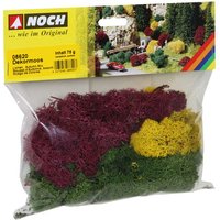 NOCH 08620 G 0 H0 TT N Z Dekormoos, herbstlich, sortiert von NOCH