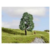 NOCH 20111 Baum Eiche 100mm 1St. NOCH 20111 Baum Eiche 100mm 1St. von NOCH