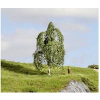 NOCH 20121 Baum Hängebirke 120mm 1St. NOCH 20121 Baum Hängebirke 120mm 1St. von NOCH