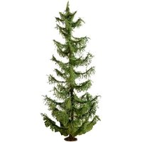 NOCH 20191 Baum Fichte 220mm 1St. NOCH 20191 Baum Fichte 220mm 1St. von NOCH