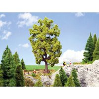 NOCH 21781 0 H0 Linde 18,5 cm hoch NOCH 21781 0 H0 Linde 18,5 cm hoch von NOCH