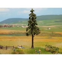 NOCH 21924 H0 TT N Hochstamm-Wetterfichte 14,5 cm hoch NOCH 21924 H0 TT N Hochstamm-Wetterfichte 14,5 cm hoch von NOCH