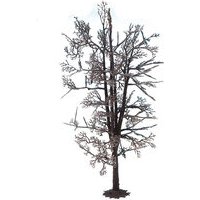 NOCH 22020 0 H0 TT N Baumrohling “Linde” 18,5 cm hoch von NOCH
