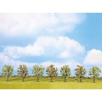 NOCH 25092 H0 TT N Z Obstbäume blühend, 7 Stück, ca. 8 cm hoch von NOCH