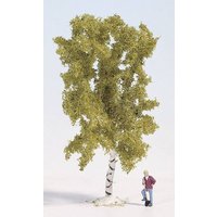 NOCH 28520 Baum Birke 60mm 1St. NOCH 28520 Baum Birke 60mm 1St. von NOCH