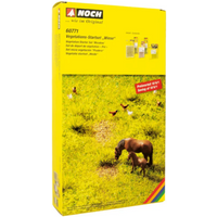NOCH 60771 G SPUR 1 SPUR 0 H0 TT N Z Vegetations-Startset "Wiese" von NOCH