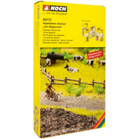 NOCH 60773 G SPUR 1 SPUR 0 H0 TT N Z Vegetations-Startset "Am Wegesrand" von NOCH