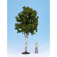 NOCH 68010 G Birke ca. 35 cm hoch NOCH 68010 G Birke ca. 35 cm hoch von NOCH