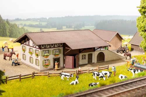 NOCH Bauernhof, detaillierter Modellbau Bausatz, H0 1:87, ideal für Dioramen und Eisenbahnlandschaften von NOCH
