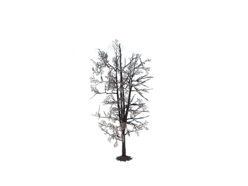 NOCH Baumrohling „Linde“, individuell gestaltbarer Modellbaum für kreative DIYs, 18,5 cm, passt zu Spur 0, H0, TT, N von NOCH
