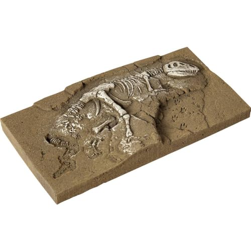 NOCH Dinosaurier T-Rex Ausgrabung, Fertigmodell in Grautönen, 13,5 x 6,8 cm für die Spurweiten H0, TT, N ideal für Modellbau von NOCH
