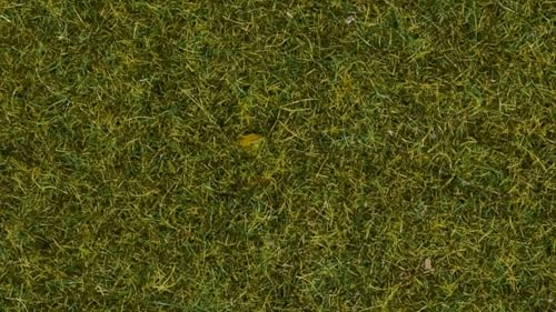 NOCH Wildgras „Wiese“ für Modellbau, 9 mm, 50 g Beutel ideal für Spurweiten 0, H0, TT NOCH Wildgras „Wiese“ für Modellbau, 9 mm, 50 g Beutel ideal für Spurweiten 0, H0, TT von NOCH