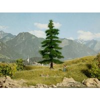 Noch - Nordmanntanne 14,5 cm Noch - Nordmanntanne 14,5 cm von NOCH