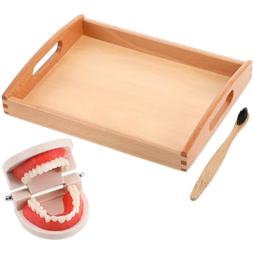 NOLITOY 1 Satz Kindertoilettenartikel zum Zähneputzen praktisches lebensspielzeug für Bürstenspielzeug aus Holz Gurgelspielzeug waschen hölzern Zufällige Farbe NOLITOY 1 Satz Kindertoilettenartikel zum Zähneputzen praktisches lebensspielzeug für Bürstenspielzeug aus Holz Gurgelspielzeug waschen hölzern Zufällige Farbe von NOLITOY