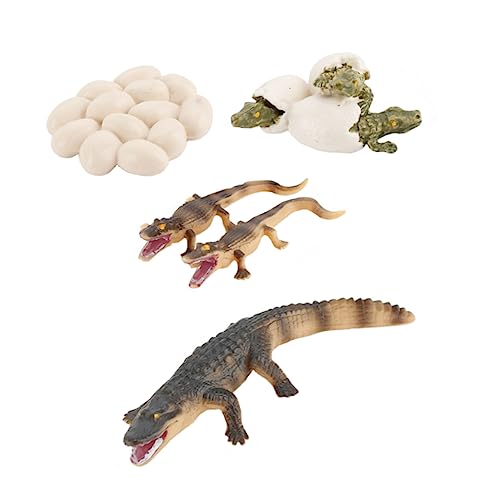 NOLITOY 1 Satz Krokodilwachstumsmodell Lernspielzeug Für Tiere Lehrreich Bildungsspielzeug Tierspielzeug Für PVC NOLITOY 1 Satz Krokodilwachstumsmodell Lernspielzeug Für Tiere Lehrreich Bildungsspielzeug Tierspielzeug Für PVC von NOLITOY
