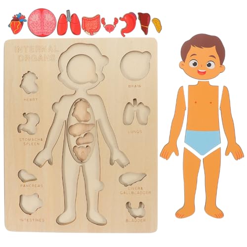 NOLITOY 1 Satz Menschliche Körperstruktur Puzzlespielzeug Puzzlematte Spielzeuge Puzzle Sortierschalen Puzzlekleber Werkzeug Modell Der Anatomischen Organe Lernspielzeug Lehrmittel Holz von NOLITOY