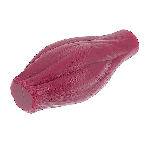 NOLITOY 1 Stück Muskelmodell muskeln muscle Muskelfunktionsmodell Trainingsmodell Muskulatur menschlich Körpermodell muskulös anatomisch 1 Pfund Nachbaumodell 1-Pfund-Lehrmodell Kieselgel von NOLITOY