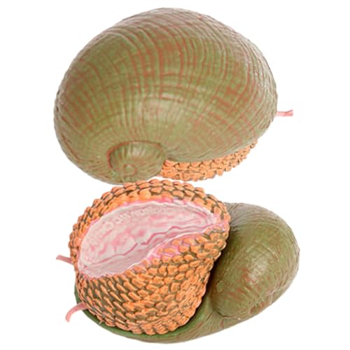 NOLITOY 2 Stück Teiliges Schneckenfigurenset Realistische Meeres tiermodelle aus Robustem Material Pädagogisches Lernspielzeug für Dekorative Gartenfiguren für Innen Außenbereich NOLITOY 2 Stück Teiliges Schneckenfigurenset Realistische Meeres tiermodelle aus Robustem Material Pädagogisches Lernspielzeug für Dekorative Gartenfiguren für Innen Außenbereich von NOLITOY