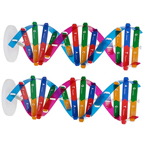 NOLITOY 2Stücke Teiliges DNA Doppelhelix Modell Wissenschaftliches Bildungsinstrument für Biologieunterricht und DIY Projekte Molekülbausatz zur Analytischer Fähigkeiten NOLITOY 2Stücke Teiliges DNA Doppelhelix Modell Wissenschaftliches Bildungsinstrument für Biologieunterricht und DIY Projekte Molekülbausatz zur Analytischer Fähigkeiten von NOLITOY