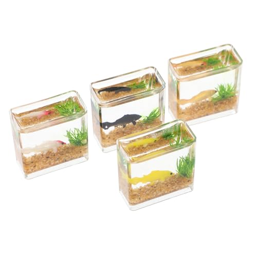 NOLITOY 4 Stück Puppenhaus Bücher Miniatur- Miniatur-fischglas Kleines Spielzeug Für Aquarien Puppenhaus-fischglas -Modell Vierkant Zylinder Aquarium Plastik von NOLITOY