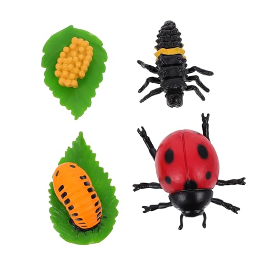 NOLITOY 4 Stück Realistische Marienkäfer Wachstumszyklus Figuren Teiliges Lernspielzeug für Robustes Material Pädagogisches Rollenspiel Fördert Fantasie für Mädchen und Jungen NOLITOY 4 Stück Realistische Marienkäfer Wachstumszyklus Figuren Teiliges Lernspielzeug für Robustes Material Pädagogisches Rollenspiel Fördert Fantasie für Mädchen und Jungen von NOLITOY