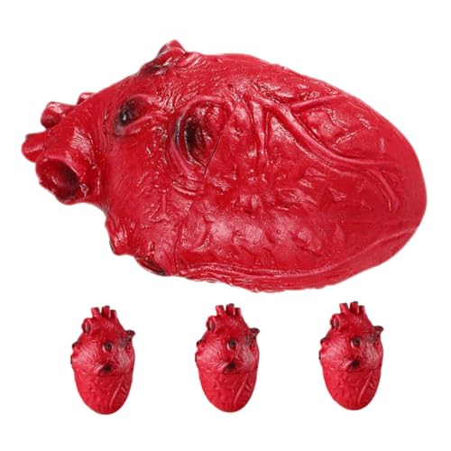 NOLITOY 4 Stück Teiliges Halloween Blutiges Herz Deko Realistisches Menschliches Organ Gruselige Party Requisite Lebensechte Horror Deko für Zombie und Geisterhaus Atmosphäre NOLITOY 4 Stück Teiliges Halloween Blutiges Herz Deko Realistisches Menschliches Organ Gruselige Party Requisite Lebensechte Horror Deko für Zombie und Geisterhaus Atmosphäre von NOLITOY