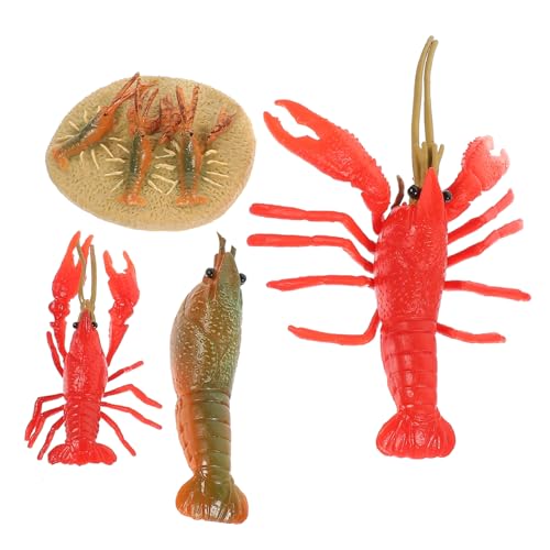 NOLITOY 4 Stück Teiliges Lernspielzeug Lobster Wachstumszyklus Modell Kunststoff Tiere Pädagogisches Kognitives für Frühe Entwicklung und Naturbezogenes Lernen von NOLITOY