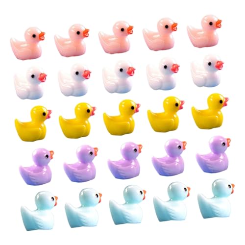NOLITOY 60 Stück Teiliges Miniatur Resin Enten in Farben Winzige Dekor Charms für Moos Landschaften Desktop Micro Landscape Deko Glatte Oberfläche für Miniaturgärten und Aquarien von NOLITOY