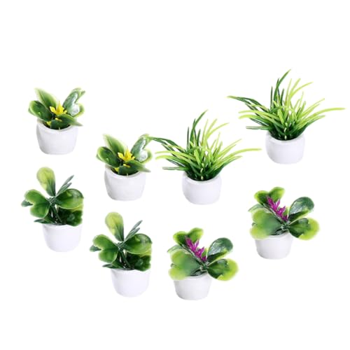NOLITOY 8 Stück Teiliges Miniatur Pflanzen Puppenhaus Dekoration Realistische Bonsai Modelle Winzige Topfpflanzen für Mini Garten und DIY Basteln von NOLITOY
