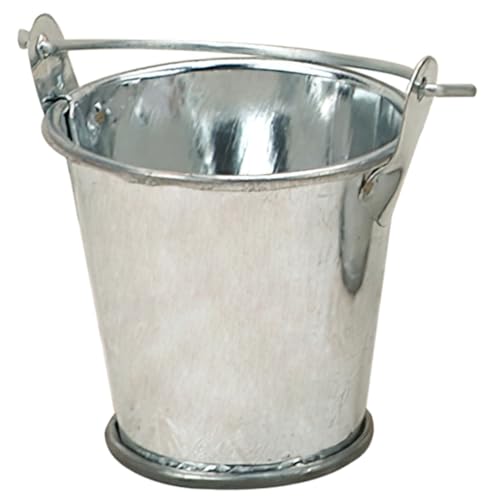 NOLITOY Eimer Modell Dekorativer Wasserbehälter für Miniaturgärten und Puppenhäuser Langlebig Vielseitig Einsetzbar Zubehör für Kreative Arrangements und Frühes Lernen NOLITOY Eimer Modell Dekorativer Wasserbehälter für Miniaturgärten und Puppenhäuser Langlebig Vielseitig Einsetzbar Zubehör für Kreative Arrangements und Frühes Lernen von NOLITOY