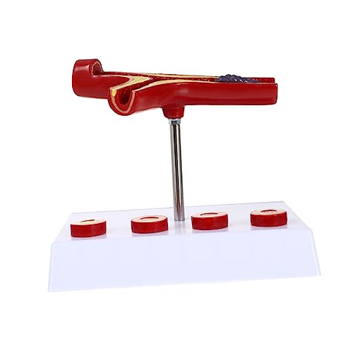 NOLITOY Gefäßmodell medizinisch kardiovaskuläres Lehrmodell menschliches kardiovaskuläres Modell Schiff Blutrohre Lernwerkzeug Anatomisches Modell der Blutgefäße Herz-Kreislauf-Modell PVC von NOLITOY