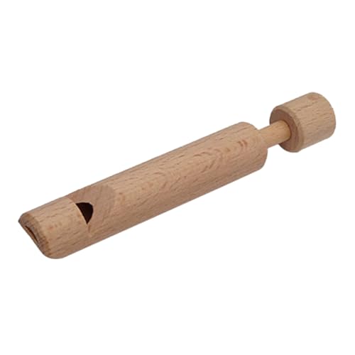 NOLITOY Holz Flöte Push Pull Musikinstrument Leichtes DIY Mini Flötenspielzeug zur Musikalischen und Hand Auge koordination Geeignet für Musikunterricht und Kreative Spiele von NOLITOY