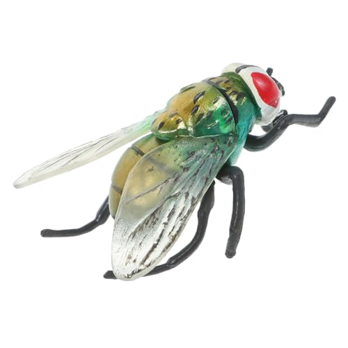 NOLITOY Künstliche Modelle Realistische Insekten für Partys und Streichartikel Hochwertiges Kunststoffmaterial für Kreative Spiele und Lernzwecke NOLITOY Künstliche Modelle Realistische Insekten für Partys und Streichartikel Hochwertiges Kunststoffmaterial für Kreative Spiele und Lernzwecke von NOLITOY