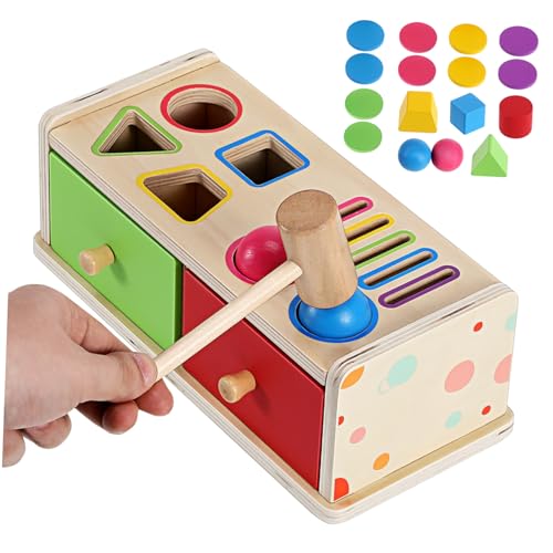 NOLITOY Montessori Holzspielzeug Farb und Formsortierer Lernspielzeug für Kleinkinder Motorische Entwicklung Kognitive Robustes Holz für Eltern Junge Mädchen Spiel und Geburtstagsgeschenk von NOLITOY
