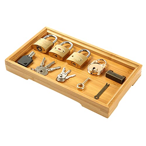 NOLITOY Montessori Lernspielzeug Schloss und Schlüssel für Sicheres Öffnungsspielzeug aus Hochwertigem Material Pädagogisches Lernspiel Feinmotorik und Problemlösungskompetenz von NOLITOY