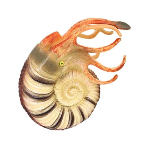 NOLITOY Nautilus Modell Simuliertes Meeresbewohner für Pädagogisches Kreativität und Farberkennung Langlebig und Stabil für Stundenlangen Spielspaß NOLITOY Nautilus Modell Simuliertes Meeresbewohner für Pädagogisches Kreativität und Farberkennung Langlebig und Stabil für Stundenlangen Spielspaß von NOLITOY