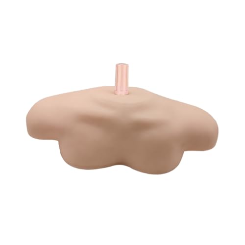 NOLITOY Praktisches Schultermodell aus PVC mit Glatter Oberfläche Leicht Beweglich und Einfach zu Reinigen Einsetzbar für Schulungen Demonstrationen und Medizinische Praxiszwecke NOLITOY Praktisches Schultermodell aus PVC mit Glatter Oberfläche Leicht Beweglich und Einfach zu Reinigen Einsetzbar für Schulungen Demonstrationen und Medizinische Praxiszwecke von NOLITOY