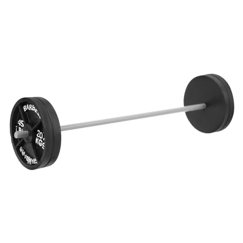 NOLITOY Puppenhaus Langhantel Fitness Zubehör Dekoratives Modell für Puppenhaus Szenen DIY Glatte Oberfläche Einzigartiges Design Foto Requisite NOLITOY Puppenhaus Langhantel Fitness Zubehör Dekoratives Modell für Puppenhaus Szenen DIY Glatte Oberfläche Einzigartiges Design Foto Requisite von NOLITOY