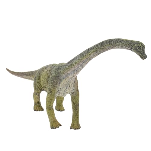 NOLITOY Realistische Dinosaurier Figur Brachiosaurus aus Robustem Kunststoff Dekorative Modellfigur für Kinderzimmer und Partydeko Lebensechte Urzeit Deko für Dino Spiel und Sammeln von NOLITOY