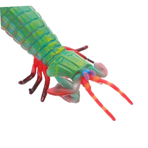 NOLITOY Realistische Kleine Garnelenfigur Meerestiermodell Pädagogisches Kinderspielzeug Tierdekoration Kognitive Lernhilfe NOLITOY Realistische Kleine Garnelenfigur Meerestiermodell Pädagogisches Kinderspielzeug Tierdekoration Kognitive Lernhilfe von NOLITOY
