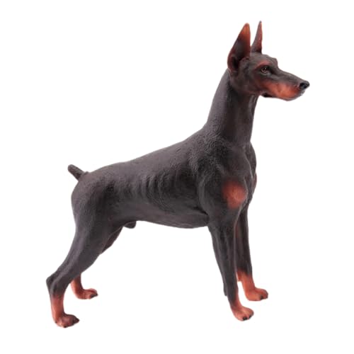 NOLITOY Realistisches Dobermann Modell Figur Braun Detailgetreues Hundedekor für Zuhause Büro Auto Verarbeitung Kleines Sammlerstück NOLITOY Realistisches Dobermann Modell Figur Braun Detailgetreues Hundedekor für Zuhause Büro Auto Verarbeitung Kleines Sammlerstück von NOLITOY