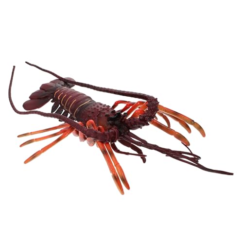 NOLITOY Realistisches Hummer Modell Kunststoff Simulation Lobster Deko Lernspielzeug Naturerfahrung Geschenk geeignet für Kinderzimmer und Schule von NOLITOY