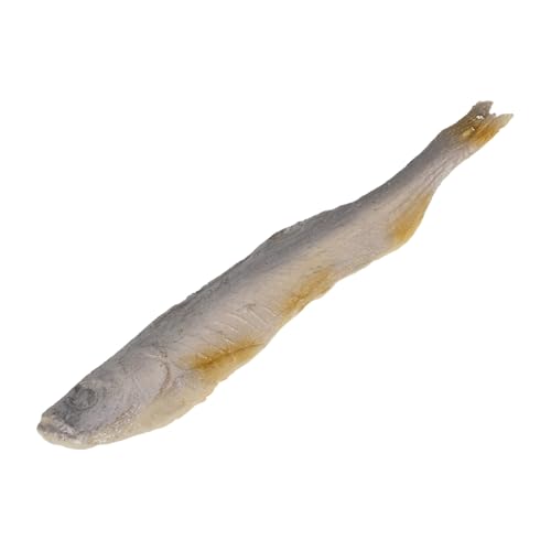 NOLITOY Realistisches Kunstfisch-Modell Täuschend Echte Getrocknete Fisch-deko Wartungsfrei Leicht und Tragbar für Restaurantdekoration Schaufenster und Fotografie-Requisiten von NOLITOY