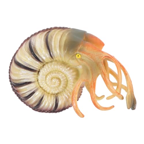 NOLITOY Realistisches Nautilus Modell aus Langlebigem PVC Kindgerechtes Kreatives Meeres tierspielzeug und Aquarium Dekoration Pädagogisches Lebensechtes Nachbildungsornament für Jungen von NOLITOY