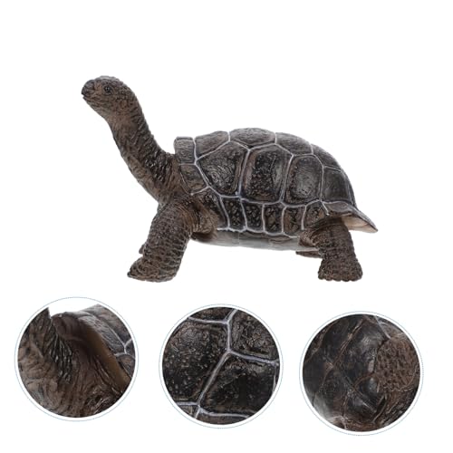 NOLITOY Realistisches Schildkrötenmodell aus Solidem Kunststoff Detailgetreues Meerestier Langlebiges Festes Tiermodell als Bildungs Dekorationsobjekt NOLITOY Realistisches Schildkrötenmodell aus Solidem Kunststoff Detailgetreues Meerestier Langlebiges Festes Tiermodell als Bildungs Dekorationsobjekt von NOLITOY